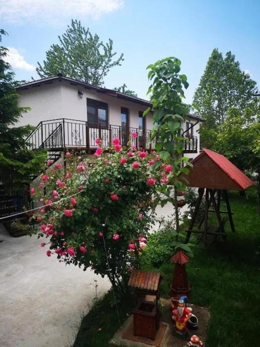 Casa Tibi Si Nico Hotel Eforie Nord Exterior foto